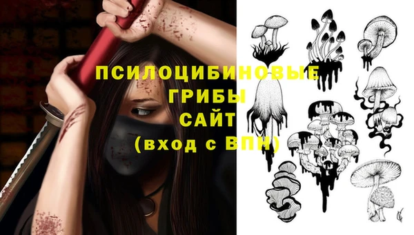 эйфоретик Краснотурьинск