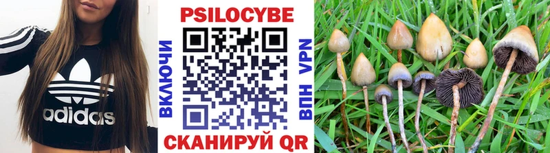 Купить закладки  Ялта  Галлюциногенные грибы Cubensis